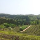 남구장애인종합복지관 이미지