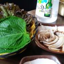 미스터봉막창 - 달서구 두류공원로50길 13 | 미스터봉막창
