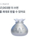 수련속눈썹 이미지
