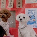 우다다 유치원 이미지