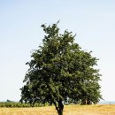 새암공원 이미지