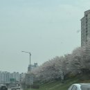 장수-4 | 2026 장수 트레일레이스 38K-P 완주 후기 1️⃣