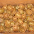 참다래농장 이미지