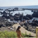 자유로운 사색가 이미지