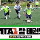 MTA 탑 태권도 이미지