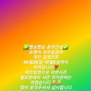진주빵송빵송베이킹클래스앤샵, 휴무안내