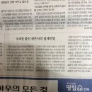 안세회계세무컨설팅 이미지