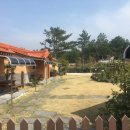 둥지 펜션 이미지