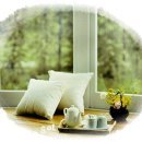 언덕위에 이미지