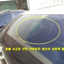 동해차유리 이미지
