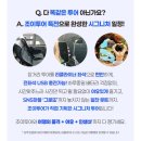 멜버른 그레이트 오션로드 조이투어 후기! 꼭 필요한 준비물 (+2월 초 헬기탑승, 점심 The Vault)