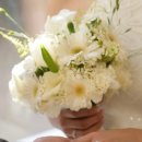 제31사단정비대대 | W5. 대구 웨딩 촬영 추가금 없는 토탈스튜디오 : [온전 스튜디오] 촬영후기 (온전스튜디오)