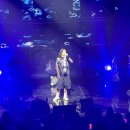 하나로13길 | (지니 팬 콘서트 후기) 온리디스베이커리 거북메론빵과 지니의 신곡 거북이가 이어준 인연