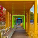 호수공원 10로 이미지