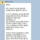 일신태권도 이미지