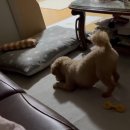 뉴홈마트 이미지