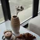도브로(dobro) 이미지
