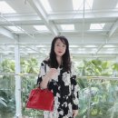 앤클라인여성 | [가방 172개 구매 백러버 찐~후기 ]/[샤넬 ,루이비통,셀린느,펜디,로저비비에 등등 명품백 착용샷,실제...