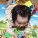 아기누리 이미지