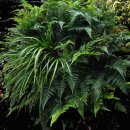 송정하우스 이미지