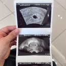 서울마리산부인과의원
