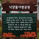 낙양어린이공원 이미지