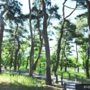 한밭수목원2 이미지