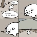 샘보체육관 | 0729-0804 | 🇻🇳 베트남 반년살이 가보쟈고