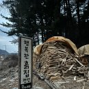 행복펜션 | 서울 근교 촌캉스 데이트 양평 행복한흙집 펜션 내돈내산 후기!