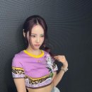 진솔플라워 이미지