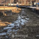 상주이발