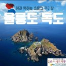 (주)울릉도스카이투어