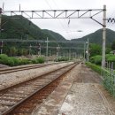 함백여자고등학교 이미지