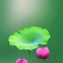 주식회사 해인브리지
