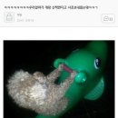 슬라임 이미지