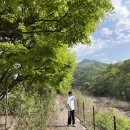 월악산국립공원 송계자동차야영장 이미지