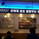 싱싱야채막회