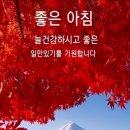 선물하루 이미지