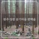 상관 공기마을 편백숲 | 완주 상관 공기마을 편백숲 피톤치드와 유황샘이 샘솟는 트레킹 코스