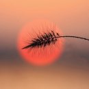 편(便)