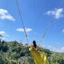 우붓 발리 스윙 추천 : 피치븐스윙 Picheaven Swing 후기