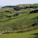 신대륙목장 이미지