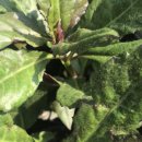 에바다농장 이미지