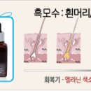 헤바베오 (Hebavepo) 이미지