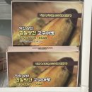 익산로컬푸드 직매장 모현 | [익산] 로컬푸드 추천, 고구마 빵 / 익산주실래