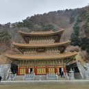삼룡사 이미지