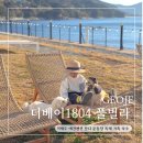 더베이1804-1풀빌라펜션