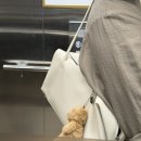 뮤니에 플로우 백 아이보리 MUNIER FLOW BAG 펀딩 구매 후기