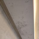 N 모텔 | n년 방치된 호텔 청소 후기｜인테리어 안해도 영업이 될까? 걱정했었습니다