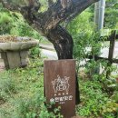 평화방앗간 | 고양 근교 감성카페 승전방앗간☕고소한 흑임자라떼에 반하고 힐링했던 후기